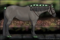 Horse Color:Grullo