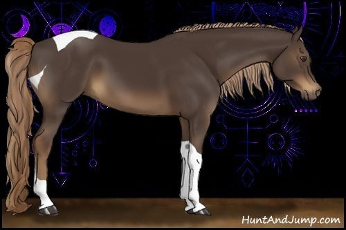 Horse Color:Liver Chestnut Tobiano 