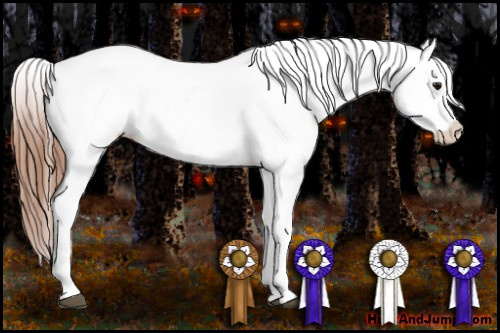 Horse Color:Bay Appaloosa  and Bay Appaloosa 