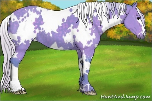 Horse Color:Watercolor White Spotted Silver Black 