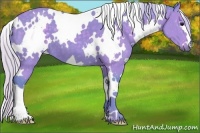 Horse Color:Watercolor White Spotted Silver Black 