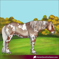 Horse Color:White Spotted Chocolate Silver Blue Onyx