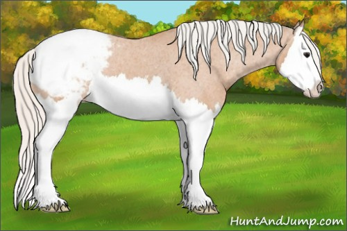 Horse Color:Silver Bay Splash Snowcap