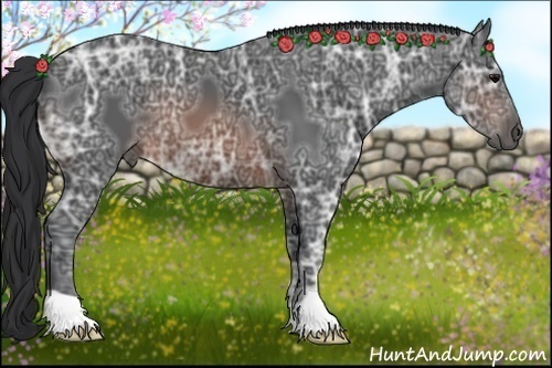 Horse Color:Brown Ice 