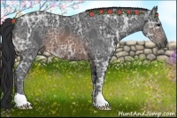 Horse Color:Brown Ice 