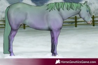 Horse Color:Perlino 