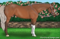 Horse Color:Silver Brown