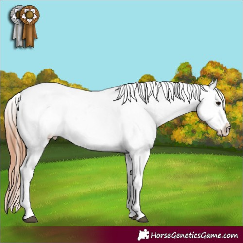 Horse Color:Bay Roan Varnish