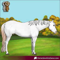 Horse Color:Bay Roan Varnish 
