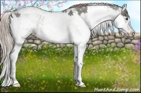 Horse Color:Chocolate Palomino Ice Sabino