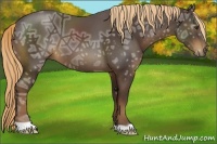 Horse Color:Liver Chestnut Ice 