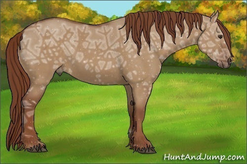 Horse Color:Red Dun Ice 