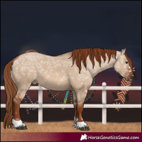 Horse Color:Red Dun Ice