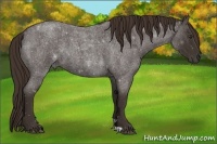 Horse Color:Liver Red Roan 