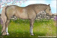 Horse Color:Chocolate Palomino 