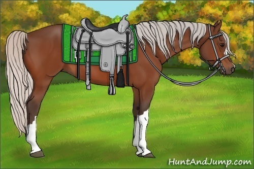 Horse Color:Silver Bay
