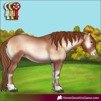 Horse Color:Brown Pearl Onyx