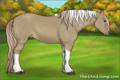 Horse Color:Chocolate Palomino Dun Tobiano