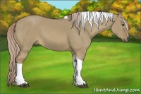 Horse Color:Chocolate Palomino Dun Tobiano 