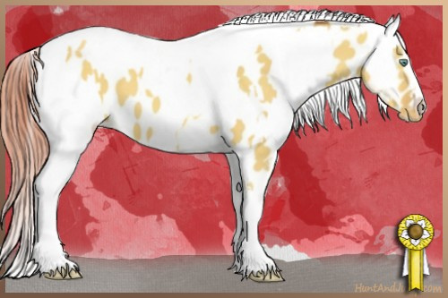 Horse Color:White Spotted Silver Sable Champagne Dun Appaloosa  and Amber Champagne Dun Appaloosa 