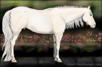 Horse Color:Silver Amber Cream Champagne Roan Pearl