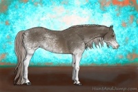 Horse Color:White Spotted Chocolate Palomino Sabino 