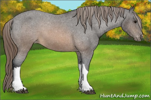 Horse Color:Buckskin Varnish 