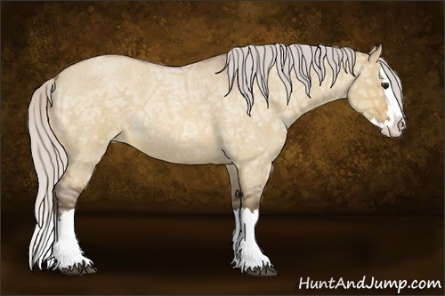 Horse Color:Silver Bay Ice Roan Dun Splash 