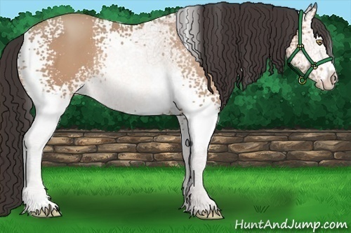 Horse Color:White Spotted Amber Champagne 