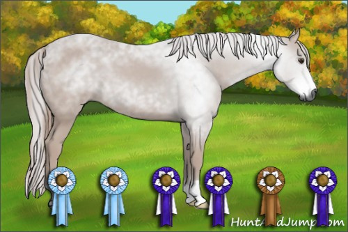 Horse Color:Gray Chestnut 