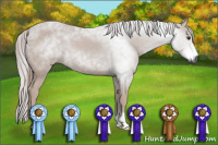 Horse Color:Gray Chestnut 