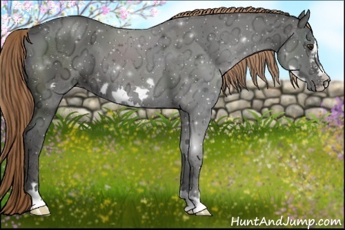 Horse Color:Liver Chestnut Ice Frame 