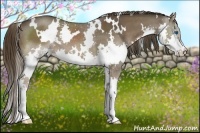 Horse Color:White Spotted Liver Chestnut Splash 