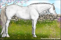 Horse Color:Liver Chestnut Sabino Splash