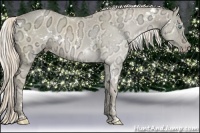 Horse Color:White Spotted Cremello Ice