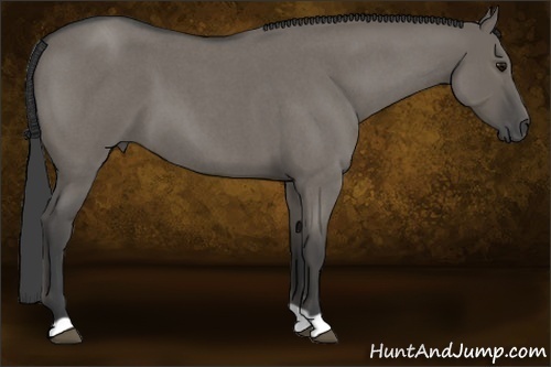 Horse Color:Smoky Grullo Roan 