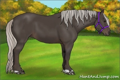 Horse Color:Silver Black 
