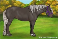 Horse Color:Silver Black 