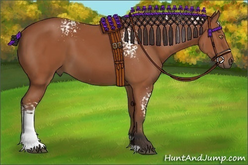 Horse Color:White Spotted Bay 