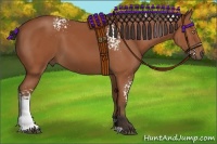 Horse Color:White Spotted Bay 