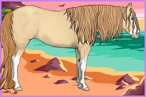 Horse Color:Gold Champagne Dun Splash 