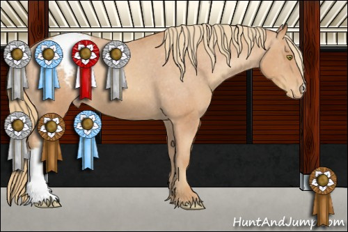 Horse Color:Gold Champagne Varnish 