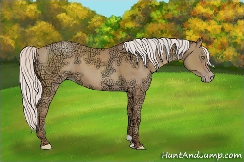 Horse Color:Silver Amber Champagne Ice