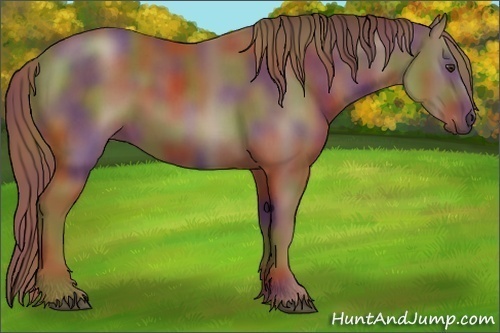 Horse Color:Nacre Chestnut 