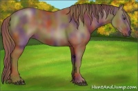 Horse Color:Nacre Chestnut 