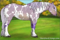 Horse Color:Watercolor White Spotted Silver Bay Dun 