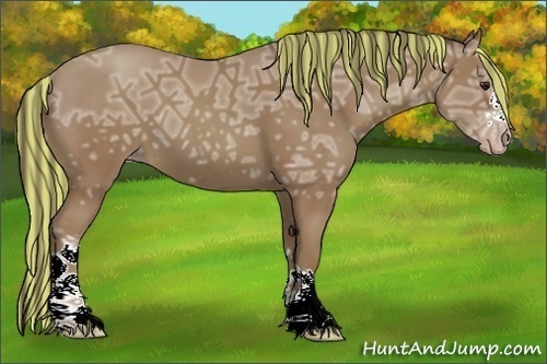 Horse Color:Painted Classic Champagne Ice 