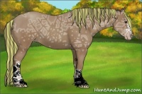 Horse Color:Painted Classic Champagne Ice 