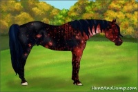 Horse Color:ERROR: UNKNOWN ANOMALY and ERROR: UNKNOWN ANOMALY