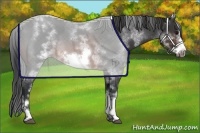 Horse Color:White Spotted Brown Roan Frame 